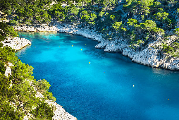 istock calanque  of Cassis 504128481