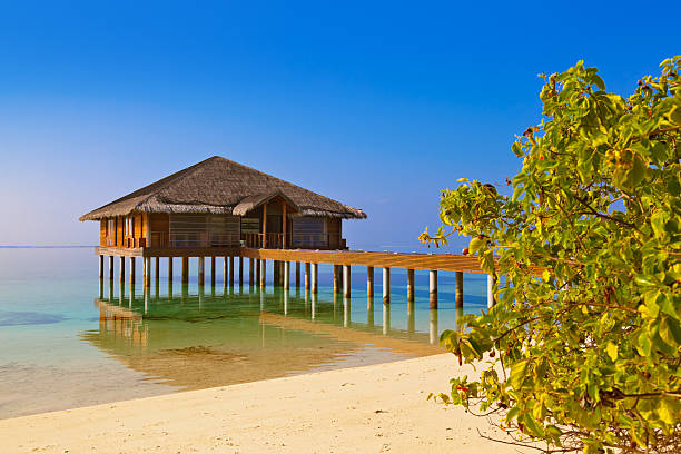 istock Spa saloon on Maldives island 504128528