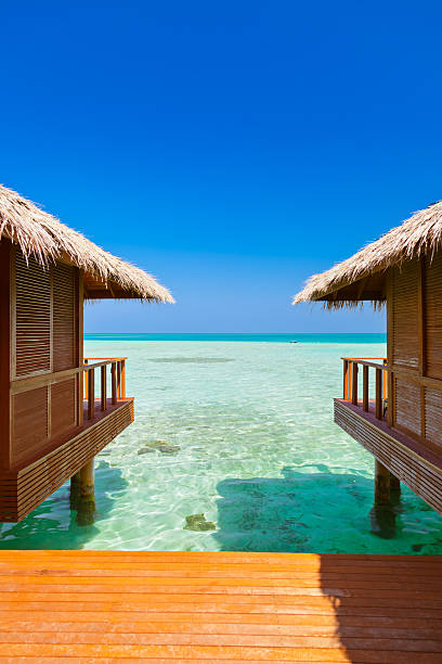 istock Water bungalows on tropical Maldives island 504128554
