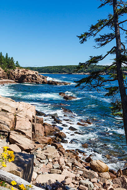 istock Blue Water and White Surf on Rocky Coast 504129223