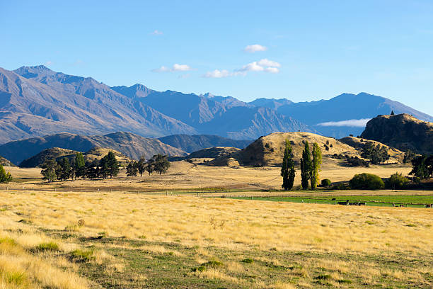 istock Picturesque landscape 504129463