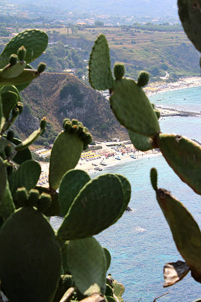 istock Mediterranean Sea and Prickly Pear, South Italy 504129565