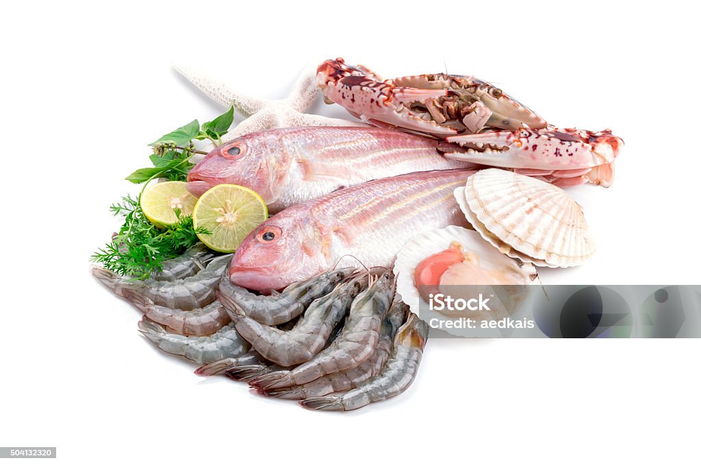 Fresh seafood Fresh catch of fish and other seafood Close-up Stock Photo