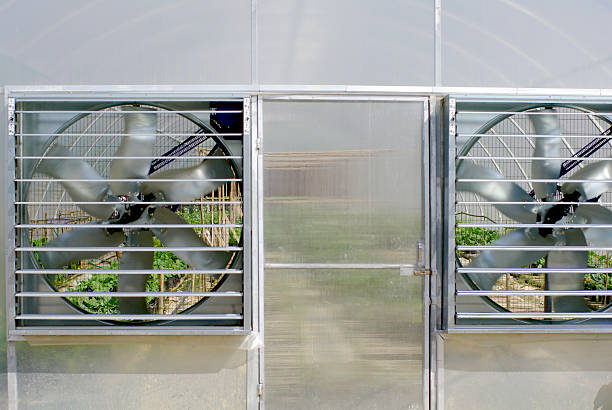 Green house or Nursery plants in nature background.