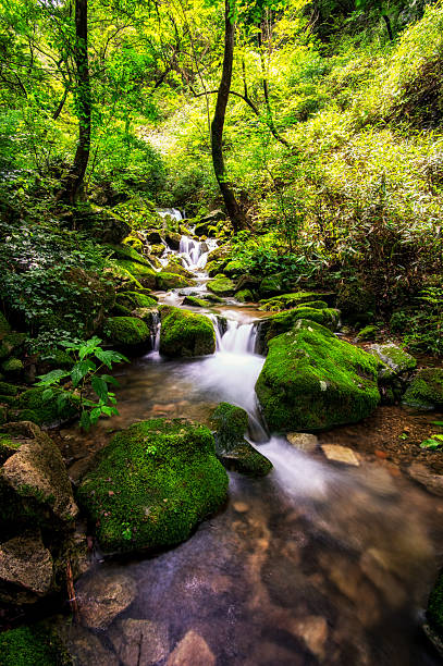 istock Creek after the rain 504133591