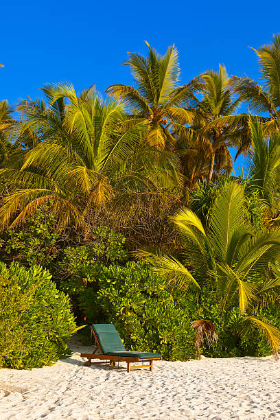 istock Loungers on Maldives beach 504133634