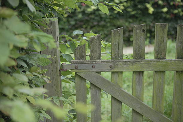 istock gate of cottage 504133709