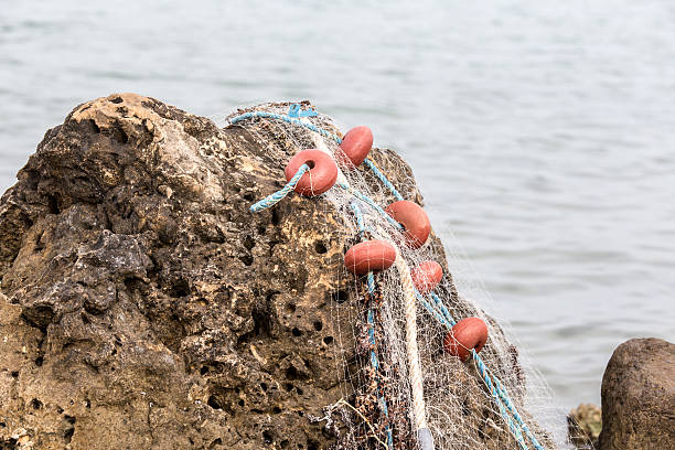 istock Network fisherman on stone 504133760