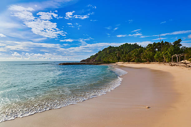 istock Seychelles tropical beach at sunset 504177602