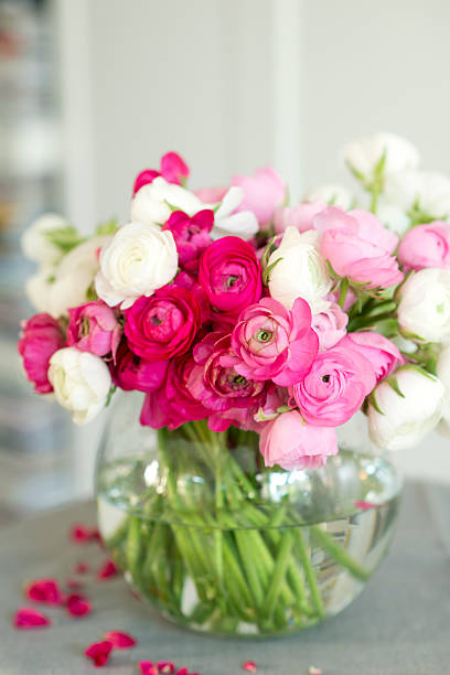 colorful ranunculus - asian buttercup- flowers in atransparent vase on whiteshot over a reflective surface