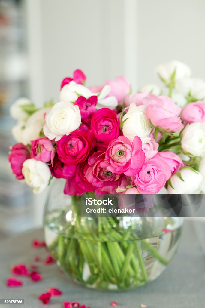 beautiful bouquet of flowers beautiful bouquet of pink and white ranunculus flowers in a glass vase Bouquet Stock Photo