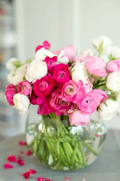 beautiful bouquet of pink and white ranunculus flowers in a glass vase