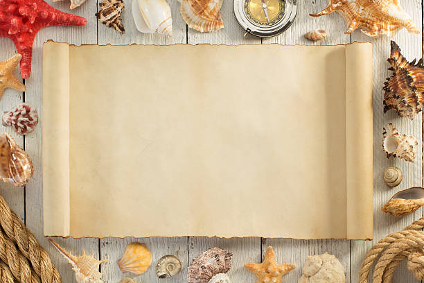 istock seashell on wooden background 504179492