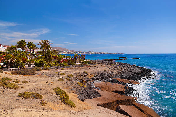 istock Beach in Tenerife island - Canary 504180184