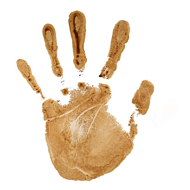 hand print coffee colored hand print isolated on white mud photos stock pictures, royalty-free photos & images