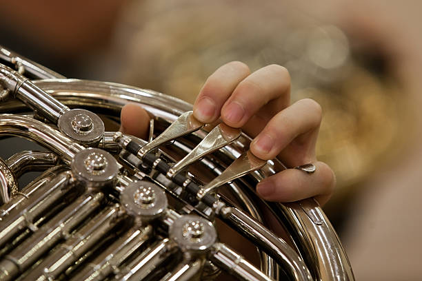 os dedos do músico tocando o trompa - brass band french horn brass instrument music - fotografias e filmes do acervo