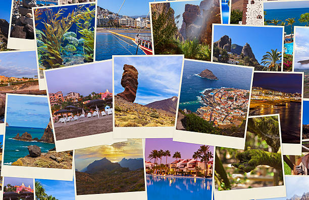 istock Tenerife Canary images (my photos) 504185956