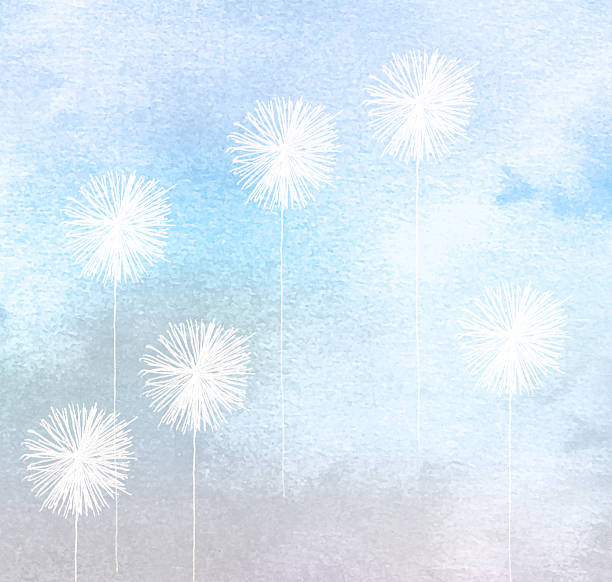 white dandelions painted on blue watercolour background