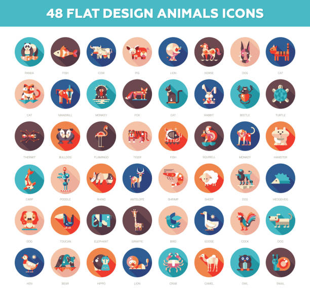 ilustraciones, imágenes clip art, dibujos animados e iconos de stock de diseño plano wild y conjunto de iconos de animales domésticos - symbol sea animal owl