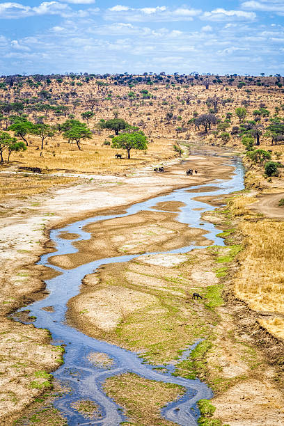istock Tarangire river on Tarangire National Park - Tanzania 504187712