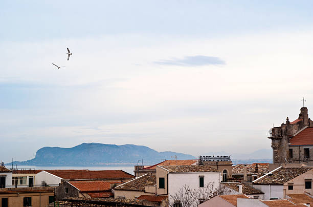 istock View of Palermo with roofs and seagulls 504190924
