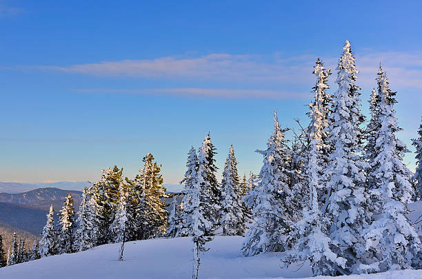 istock Frosty winter morning in the mountains 504192066
