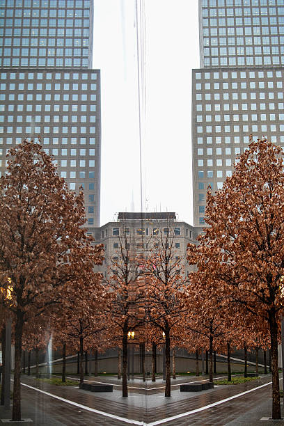 miasto odbicie - editorial shadow new york city manhattan zdjęcia i obrazy z banku zdjęć