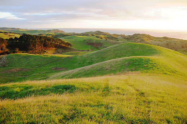 Explore the scenic beauty of Christchurch, New Zealand, where farm fields meet the Pacific Ocean, offering a picturesque coastal landscape.