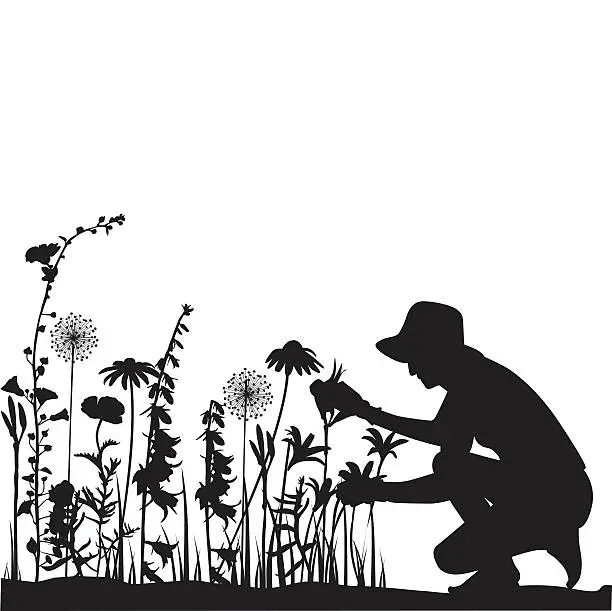 Vector illustration of Gardener