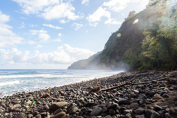 bela pedra preta praia-vale waipio, havai - hamakua coast imagens e fotografias de stock