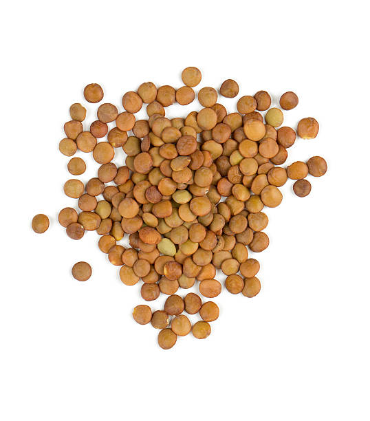 brown lentils isolated on white stock photo