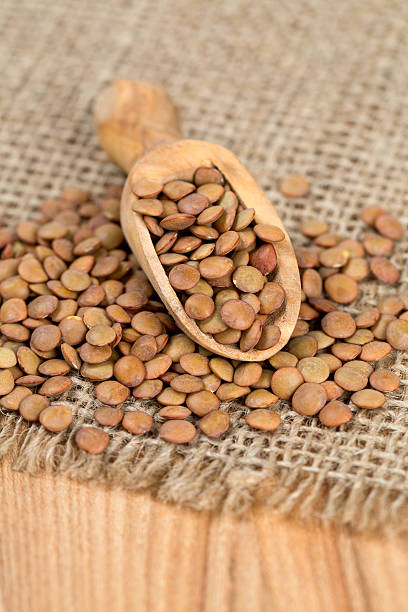 istock brown lentils in a wooden spoon 504225032
