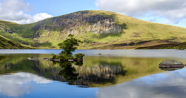 loch skeen (lake), white coomb, scotland - dumfries 個照片及圖片檔