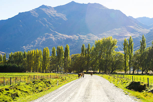 istock Picturesque landscape 504237333