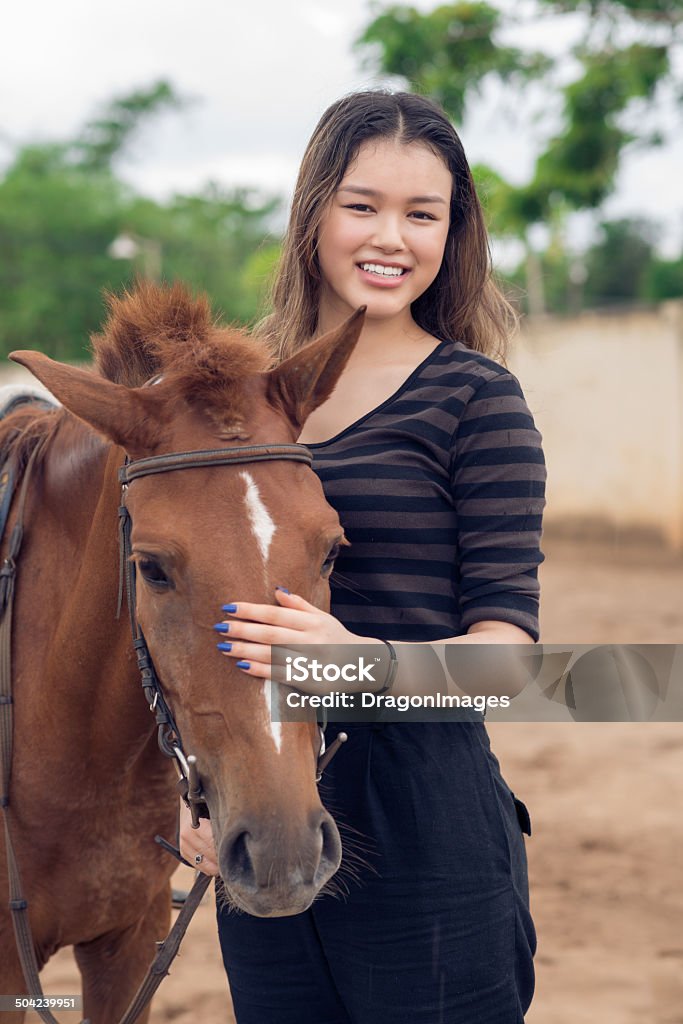 Cavalo marrom - Foto de stock de Acariciar royalty-free
