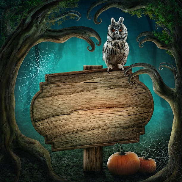 Wooden sign in the halloween magic dark forest