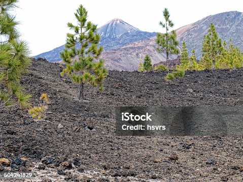 istock volcano Pico del Teide in national park of tenerife 504241829