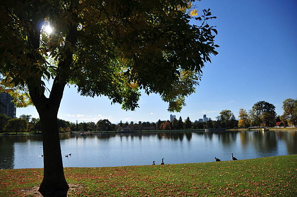 istock Denver, Colorado: City Park - Ferril Lake 504242271