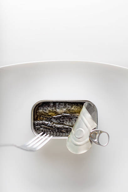 Sardinen in einer können auf einem weißen Teller – Foto