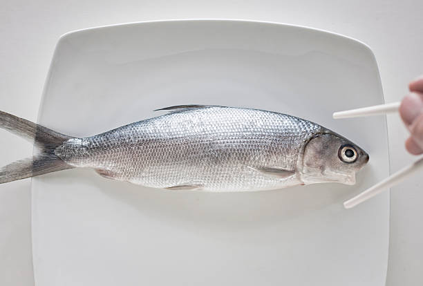 Gesamte, um rohen Fisch auf Teller über bereitstehen – Foto