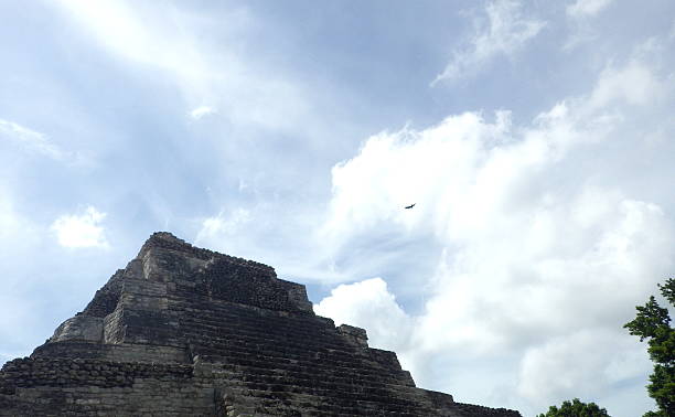 guardare un tempio di maya - chacchoben foto e immagini stock