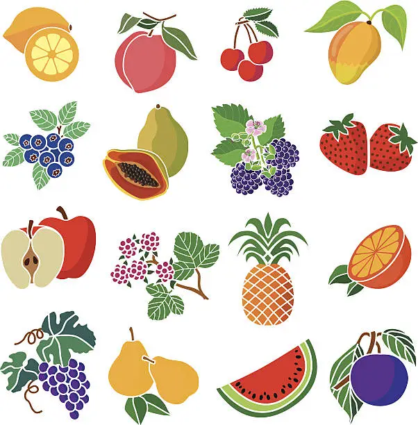 Vector illustration of various fruits and berries