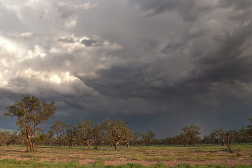 closing in thunderstorm, Outback Australia