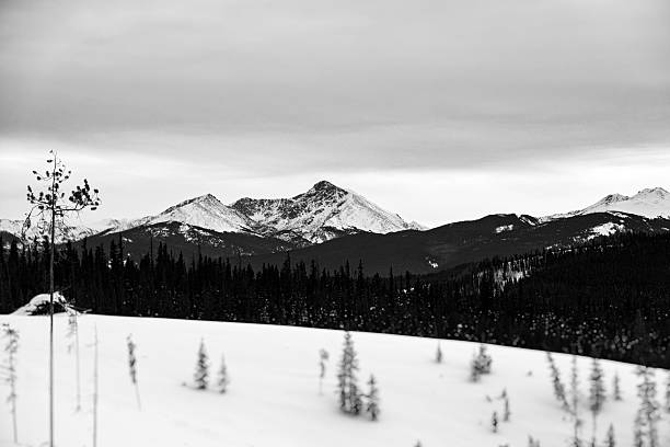 blanco y negro, montaje de santa cruz - skiing colorado sawatch range usa fotografías e imágenes de stock