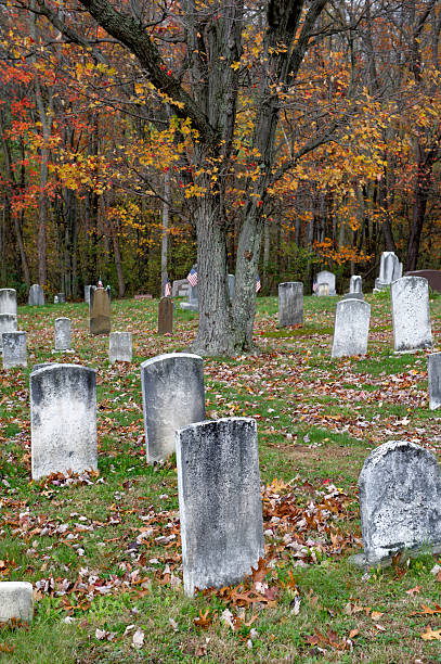 istock Old Cemetery in the Fall Woods for Backgrounds 504250172