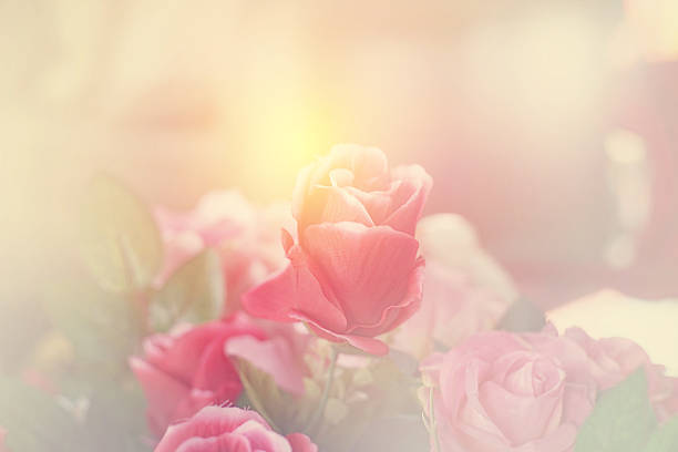 istock artificial red rose in sweet color 504250418