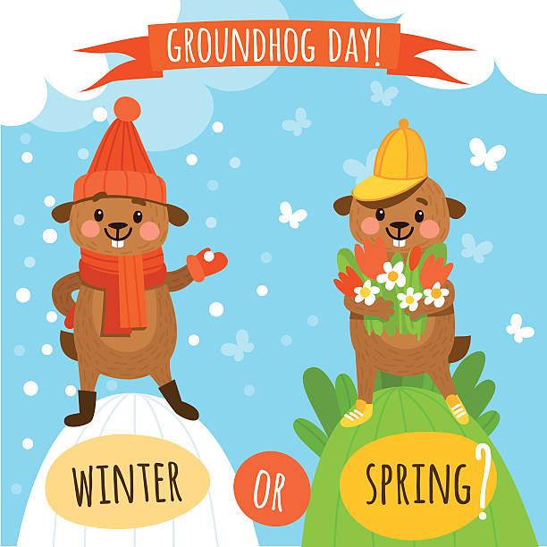 ilustraciones, imágenes clip art, dibujos animados e iconos de stock de juego de simpáticos y divertido marmots para el groundhog día - groundhog