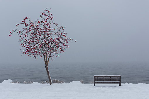 A snowy scene of a park bench by Okanagan Lake near Kelowna British Columbia Canada in Winter