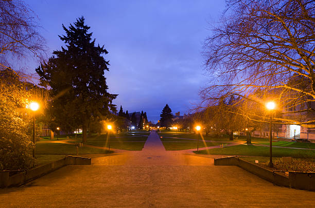 istock Quadrangle at the University of Washington 504256810
