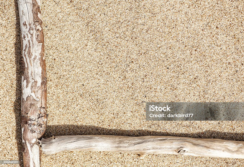 Dry branches on the sand Dry branches on the yellow sand background Abstract Stock Photo